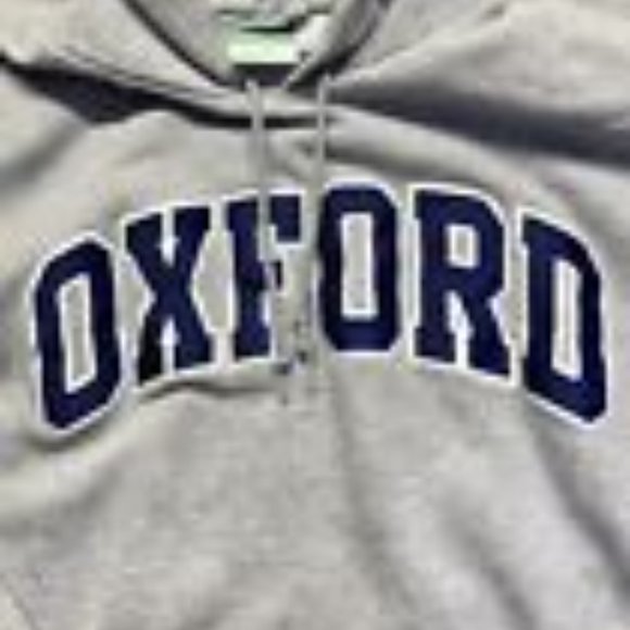 Champion Hoodie Adult Size Large Eco Fleece Weave Oxford Logo Grey Stitched - Picture 5 of 9